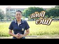 เกษตรชั้นเซียน ตอน เปิดสูตรลับข้าวหอมมะลิ เม็ดเต็มรวง กำไรล้นทุ่ง