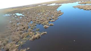 2020 Eastern Australia Waterbird Survey Day 7, Hay to Parkes