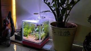 All My Aquascape's in 2024