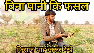 बिना पानी की फसल और उसकी खेती/how we can make crops survive without water/ Oregenic taramira farming