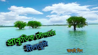 মাত্র ৭ মিনিটে দেখে নিন উত্তরবঙ্গের প্রাকৃতিক সৌন্দর্যের নীলাভূমি জবাই বিল||SI TraveL BD ||SABBIR