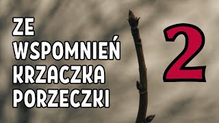 O tym, jak uczyłem się niemieckiego | Ze wspomnień krzaczka porzeczki (2)