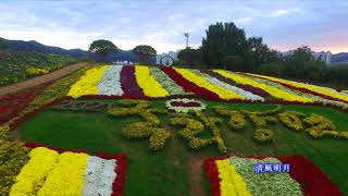 2021년 화순국화향연 The 2021 Chrysanthemum Festival in Nam-myeon, Hwasun-gun, Jeollanam-do.