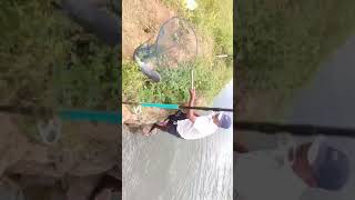 ആറ്റിലെ കൊമ്പനെ വലയിലാക്കി  #kerala fishing#youtube studio