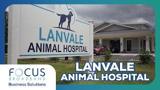 Lanvale Animal Hospital: FOCUS Broadband Business Solutions