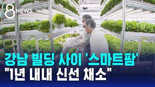 강남 대형 빌딩 사이 '스마트팜'…\