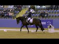 Matthew Dowsley and TS Firestorm 7yo Champion in the Young Horse Championship Final at Sydney CDLite