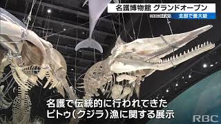 『名護・やんばるの自然と文化の拠点』に新名護博物館がグランドオープン