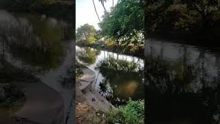 ஊமை வாய்க்கால் பாசனம்