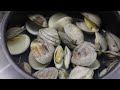 steamed clams