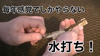 ＫＯＫＯ農園ハウス管理開始