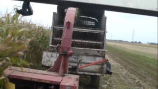 ensilage mais 2009