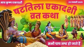 एकादशी व्रत कथा Ekadashi vrat katha एकादशी की कथा Ekadashi ki katha shattila ekadashi vrat katha