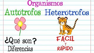 Organismos 🌿AUTÓTROFOS Y HETERÓTROFOS🐝 [Fácil y Rápido] | BIOLOGÍA |