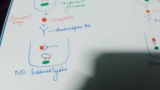 Complement Fixation test (CFT)