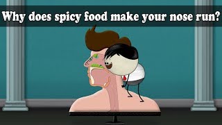 Why does spicy food make your nose run? | #aumsum #kids #science #education #children