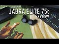 Jabra Elite 75t review: Still elite