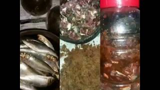 ജൈവ വളം+കീടനാശിനി Fish Amino Acid ജൈവ വളം ജൈവ വളം+കീടനാശിനി Fish Amino Acid ജൈവ വളം