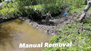 This Water Totally Gone!