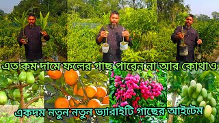 New Suhana Nursery | নতুন প্রচুর বিদেশি ফল গাছের আইটেম প্রচুর স্টক নার্সারিতে | নিউ সুহানা নার্সারি