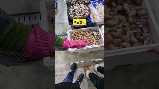 백골뱅이 삶아 먹으면 달아요. 침 나온다. 이건 소주 안주지^^