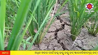 ଓଡିଶା ନିୟୁଜ ଏକ୍ସପ୍ରେସ ୭.୧୦.୨୦୧୮