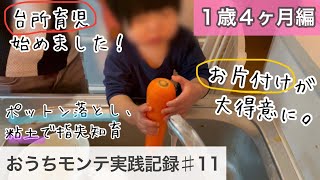 【1歳４ヶ月】モンテッソーリ教育やってきたこと/出来るようになったこと紹介！(生後16ヶ月)