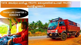 TATA  അൾട്രാ ഓടിച്ചു  FRUITS തോട്ടത്തിൽ പോയി  FRUITS പൊട്ടിച്ചാലോ വീണ്ടും ഒരു ലോറി ജീവിതം #trucklife