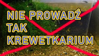 NIE PROWADŹ TAK KREWETKARIUM - Bo tak się to skończy dla KREWETEK