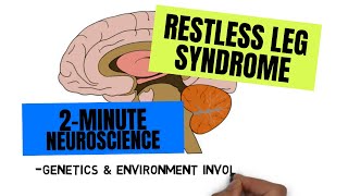 2-Minute Neuroscience: Restless Legs Syndrome