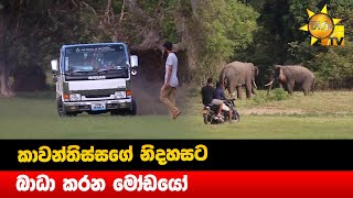 කාවන්තිස්සගේ නිදහසට බාධා කරන මෝඩයෝ - Hiru News