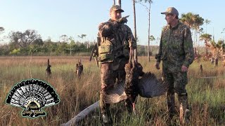 Osceola runs over Team Wing Bone - Public Land Florida Turkey Hunt