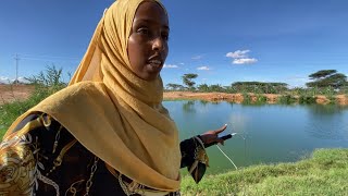 Farm Tour of the Las Group 38 hector Property 40km outside of Hargeisa Somaliland 2021