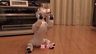 aibo イチロー ハイタッチの姿勢でタッチしてくれる人を待ち続ける