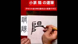 小篆 陽 の運筆 #Shorts #篆書#書道#小篆#篆刻