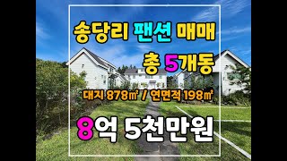 ♥~ 제주도 인기지역 송당리  펜션 매매 ~ 수익율 10%↑~♥