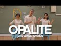 【Line Dance Tutorial】Opalite