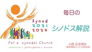 「毎日のシノドス解説 第五回」