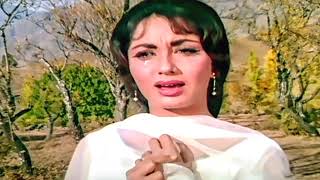 Bedardi Balma Tujhko | Lata Mangeshkar | Arzoo 1965 | Sadhana, Rajendra Kumar| Covered By Rajni