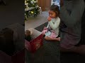 Little Girl's Overjoyed Reaction to Puppy Surprise!