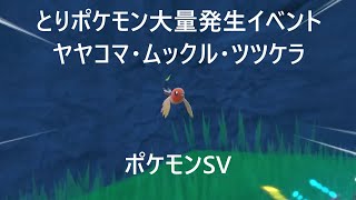 [ポケモンSV]とりポケモン大量発生イベント ヤヤコマ・ムックル・ツツケラ色違い厳選