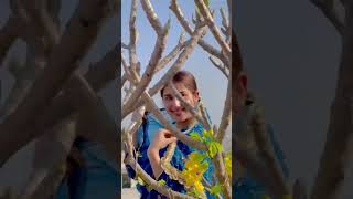 Kiran bajwa new song|Latest Punjabi song 😍#whatsappstatus