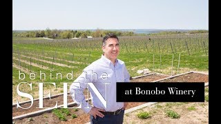 Bonobo Winery with Co-Owner Todd Oosterhouse | SEEN Magazine | SEEN