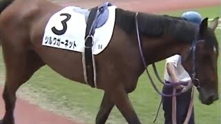 新馬戦　パドック　1着シルクガーネット号（坂井千明騎手）・レース映像はありません　※悪画像　1998年8月15日（土）新潟競馬場