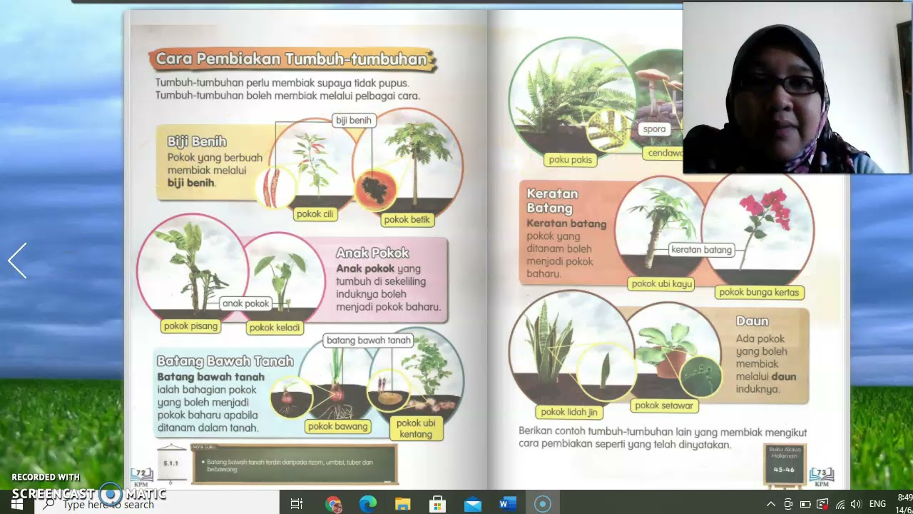 Sains Tahun 3 Tumbuhan Pembiakan Tumbuh Tumbuhan Sains Tahun 3 Riset ...