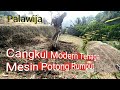 Cangkul Modern Tenaga Mesin Potong Rumput