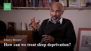 The Difference Between Sleep and Anesthesia - Emery Brown