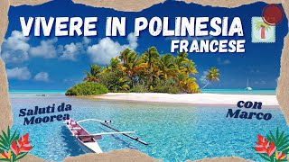 VIVERE IN POLINESIA FRANCESE 🇵🇫 | Come si VIVE in POLINESIA FRANCESE | Come si VIVE a MOOREA