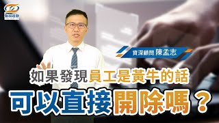 【勞務】工程師當黃牛，老闆可以直接開除員工嗎！？｜聯和趨動陳孟志資深勞資顧問為您解析｜聯和趨動顧問說【勞務】