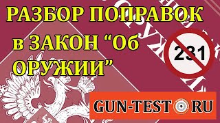 Разбор поправок в закон «Об оружии»